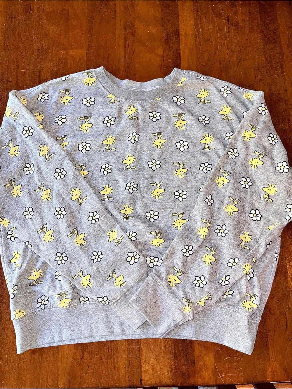 Peanuts Woodstock Sweatshirt in Gray, Size Medium